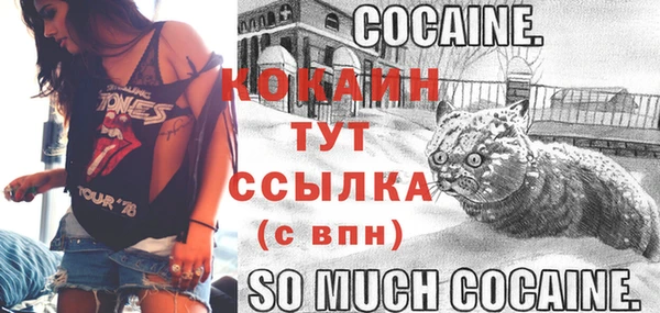 меф Горняк