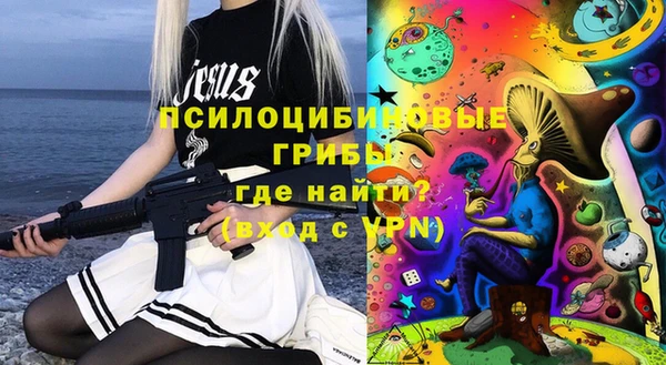 эйфоретик Ельня