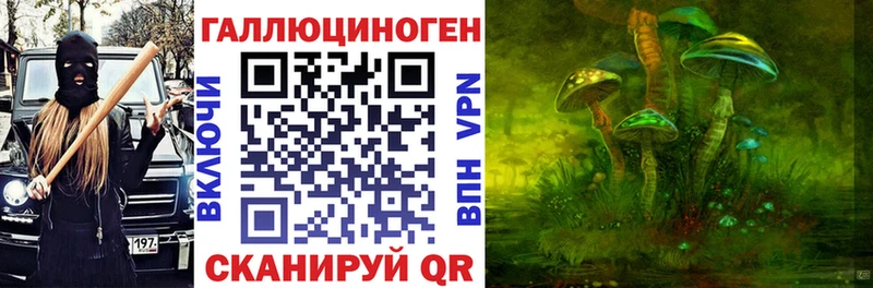 Псилоцибиновые грибы GOLDEN TEACHER Армавир