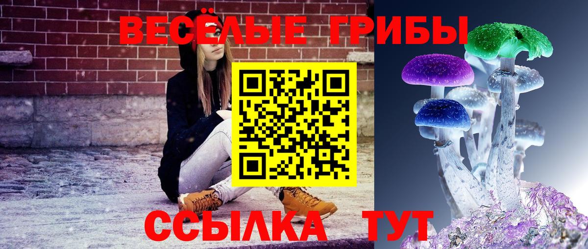 Псилоцибиновые грибы мухоморы Армавир