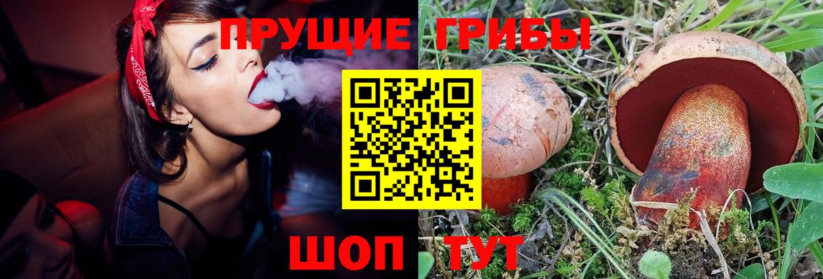 Галлюциногенные грибы Cubensis  Галлюциногенные грибы MAGIC MUSHROOMS  Вход с VPN  Армавир 